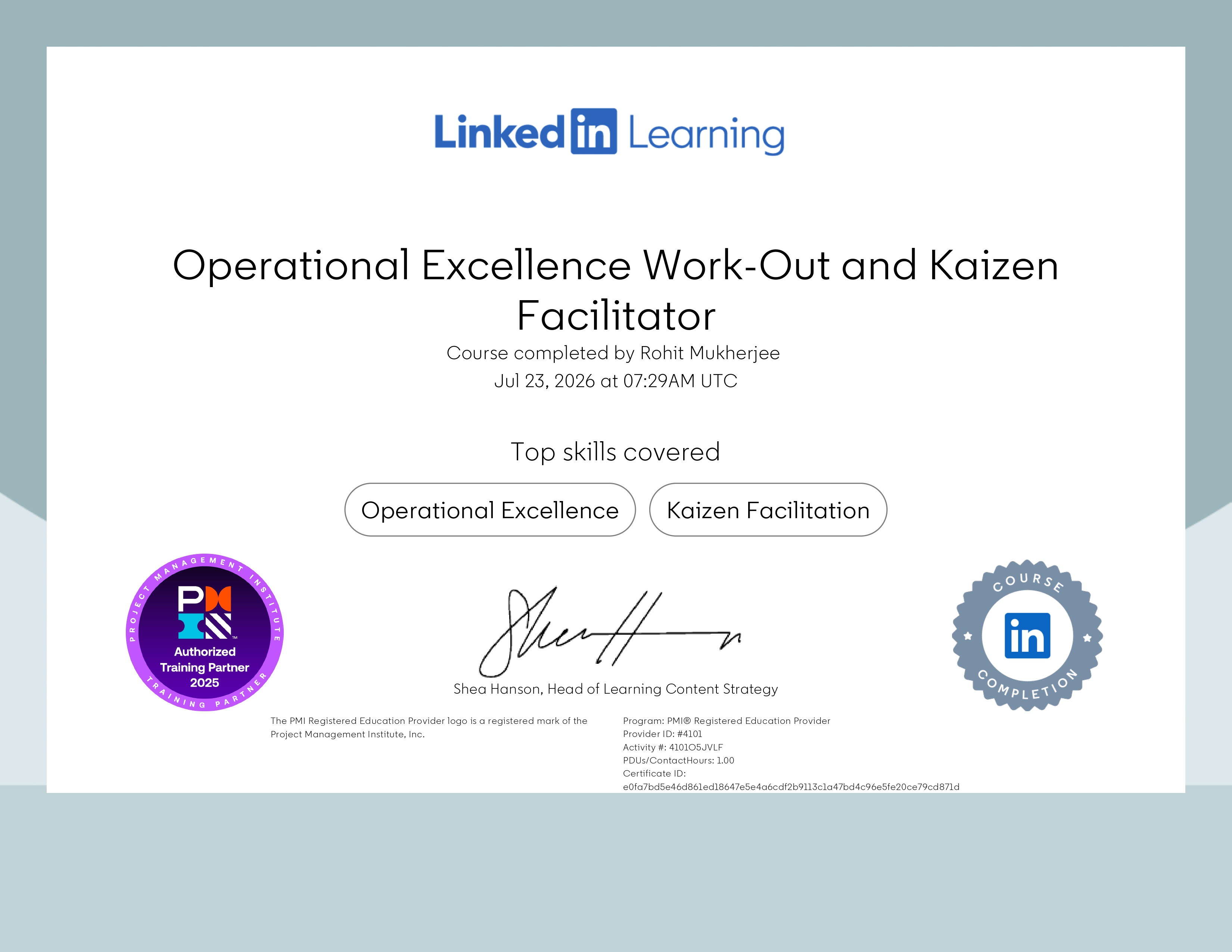 Operational Excellence WorkOut & Kaizen Facilitator